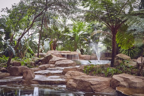 Fountain