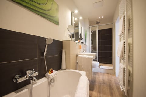 Comfort Apartment, 1 Bedroom, City View | Bathroom | Rainfall showerhead, free toiletries, hair dryer, towels