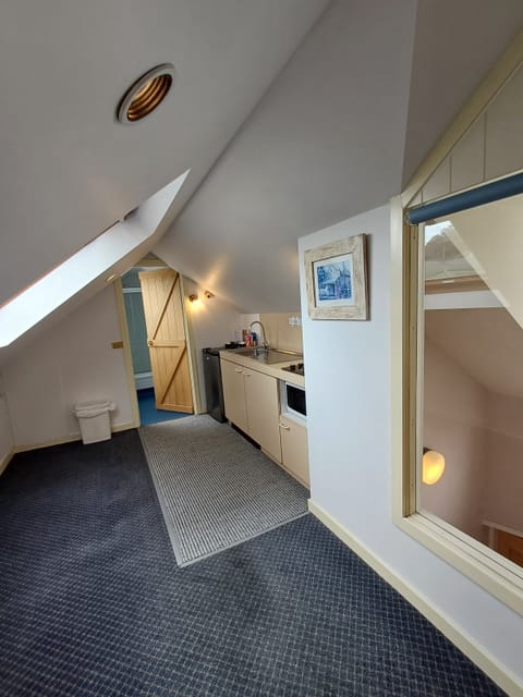 Deluxe Loft, 1 King Bed | Private kitchen | Fridge, electric kettle