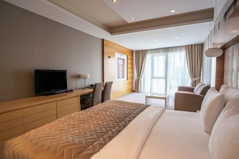 Double Room | Minibar, in-room safe, desk, soundproofing