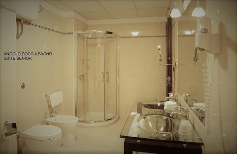 Rainfall showerhead, hair dryer, bidet, towels