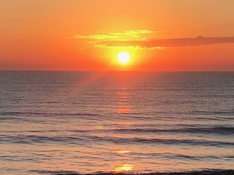 Just one of many glorious sunrises!  Welcome to "C-Scape" at Seawatch Condos!
