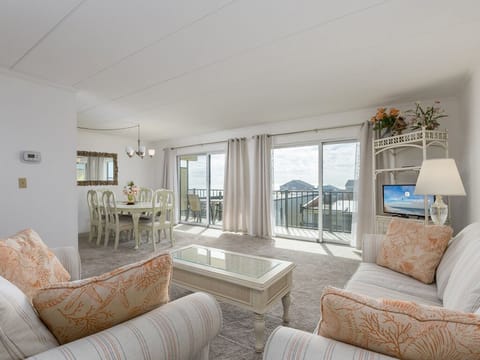 Open Concept