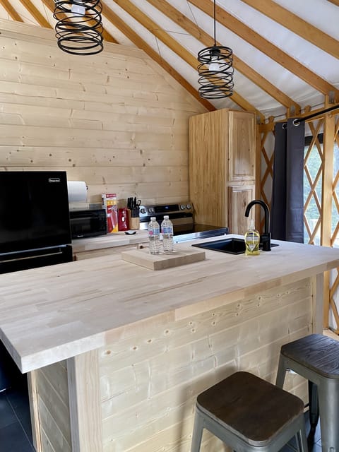 Full-size fridge, microwave, oven, stovetop