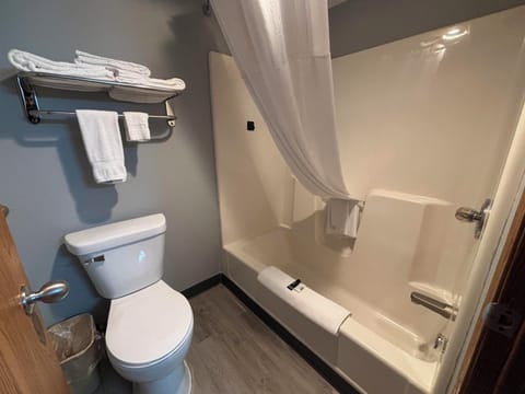 Combined shower/tub, free toiletries, hair dryer, towels