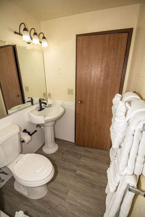 Combined shower/tub, free toiletries, hair dryer, towels