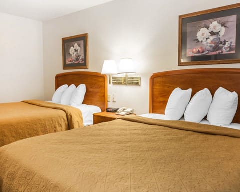 Standard Room, 2 Queen Beds, Non Smoking | Desk, blackout drapes, iron/ironing board, free WiFi