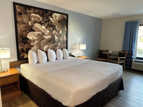 Room, 1 King Bed, Non Smoking (2nd Floor) | Desk, iron/ironing board, cribs/infant beds, free WiFi