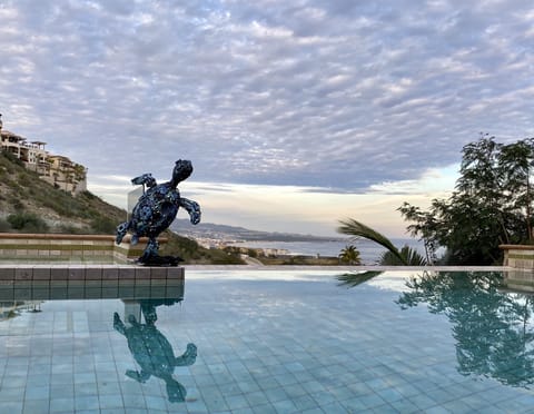 Infinity Pool and spa