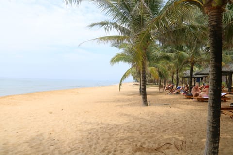 Beach nearby, white sand