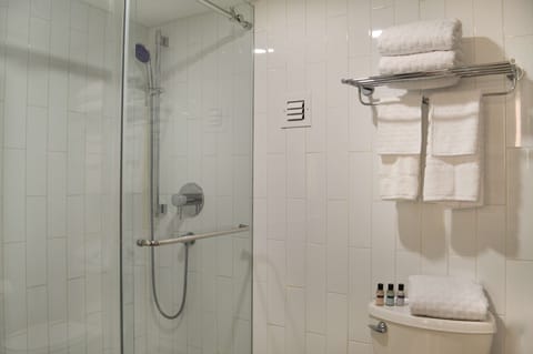 Shower, free toiletries, hair dryer, towels