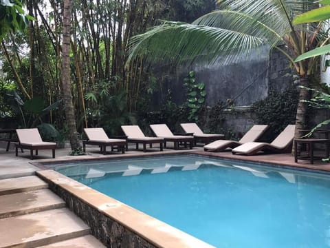 Outdoor pool, sun loungers