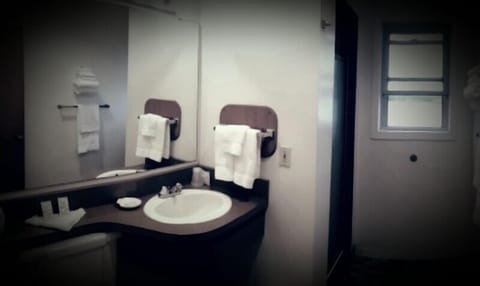 Room, 1 Queen Bed | Bathroom | Shower, free toiletries, hair dryer, towels