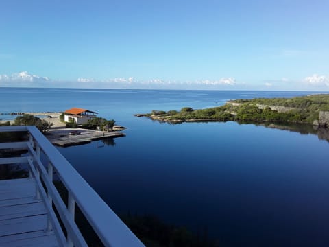 View of the ocean from front terrace