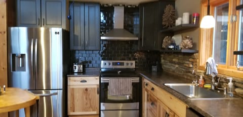 Electric Stove w Rapid Boil. Brand New Refrigerator. Dishwasher