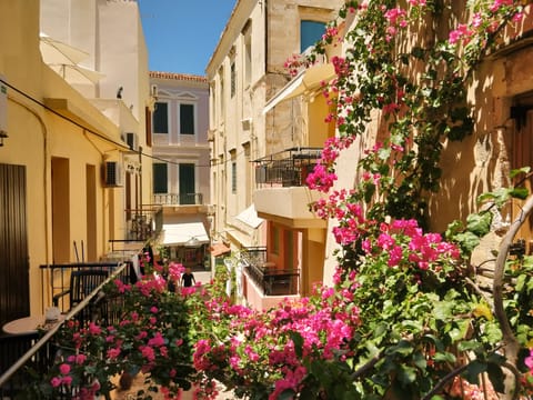 Traditional Studio | Terrace/patio