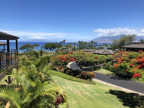 View from Lanai