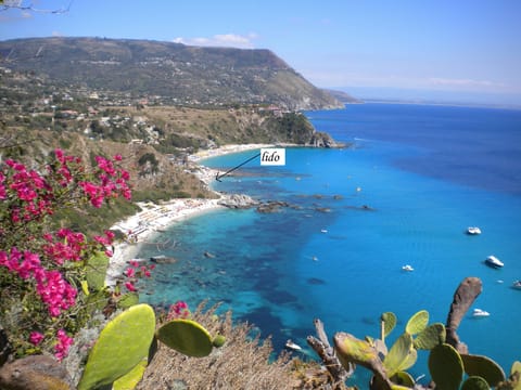 White sand, free beach shuttle, sun loungers, beach umbrellas