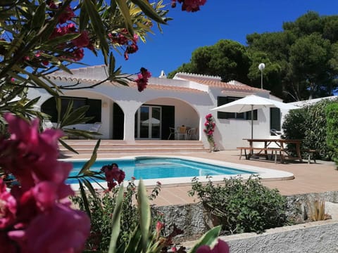 View of the house from the back garden