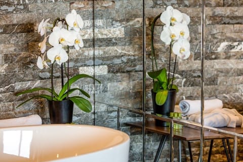 Deluxe Apartment | Minibar, in-room safe, desk, blackout drapes