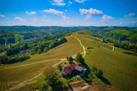 Holiday house Podhamer resort. Bird's-eye view.