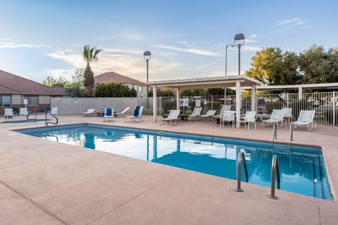 Large community pool with loungers.