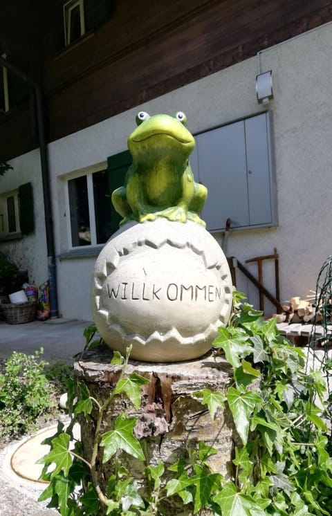 Plant, Window, Grass, Gas, Groundcover, Shrub, Annual Plant, Lawn Ornament, Garden