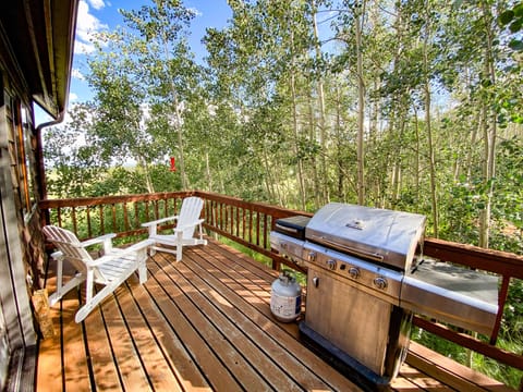 There is a grill and some outdoor furniture to enjoy your private escape.
