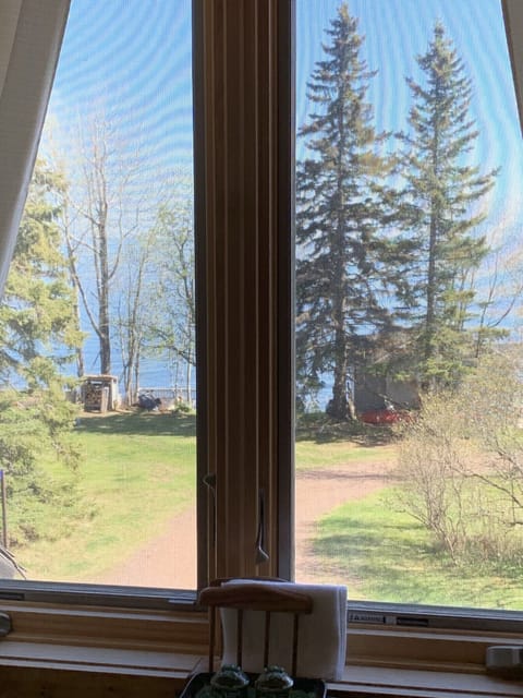 View from the dining room table. 