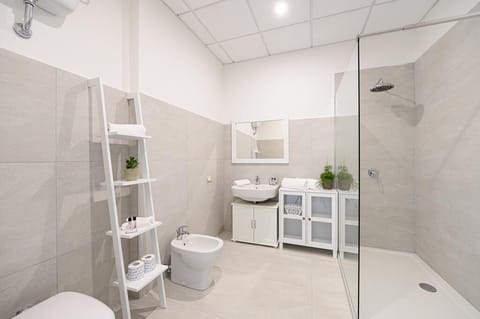 Shower, hair dryer, bidet, towels