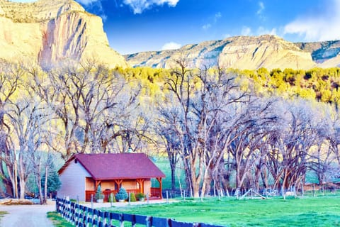 Premium Cabin (Cottonwood Cabin) | Property grounds