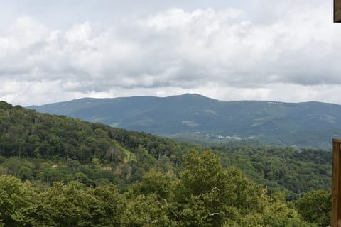 Summer View