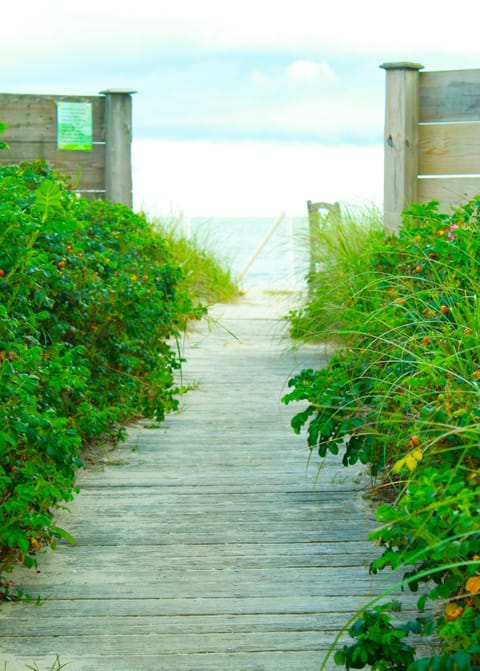 Private beach, white sand, sun loungers