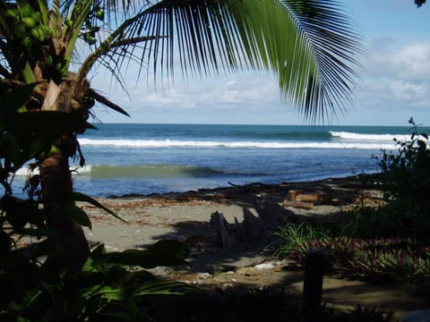 Waves in front of the property