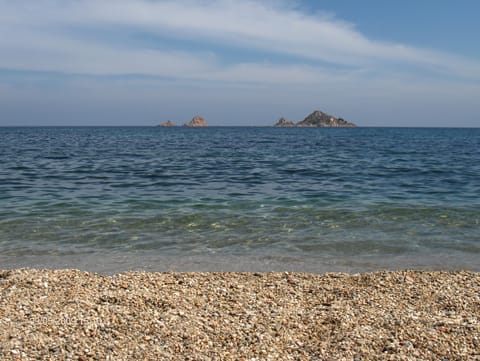 Private beach, 2 beach bars