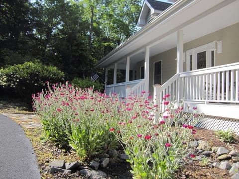 Spring flowers