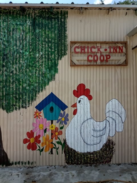 Whimsical Chicken Decor inside & Out
Rise & Shine N' Shiner, Tx.