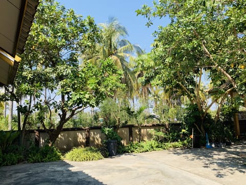 View from room
