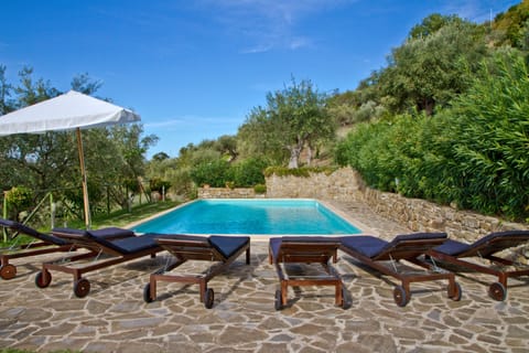 Seasonal outdoor pool, pool umbrellas, sun loungers