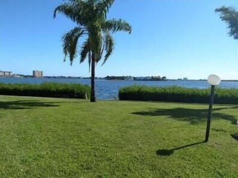 View from patio