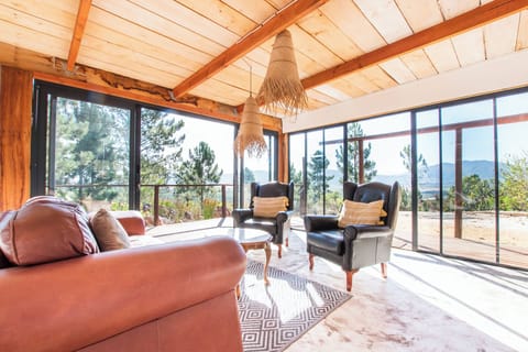 Basic Cabin | Living area | Fireplace