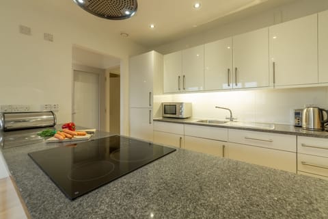 The Fishes, St Ives. Well equipped kitchen