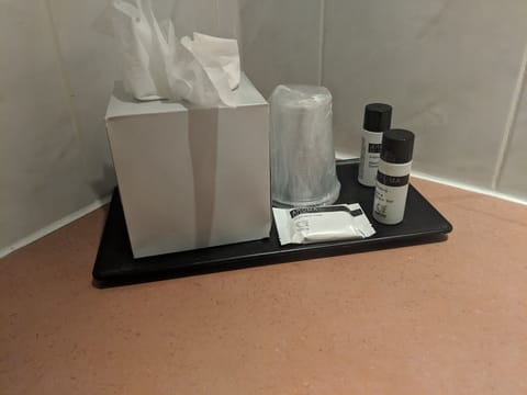 Separate tub and shower, free toiletries, hair dryer, towels