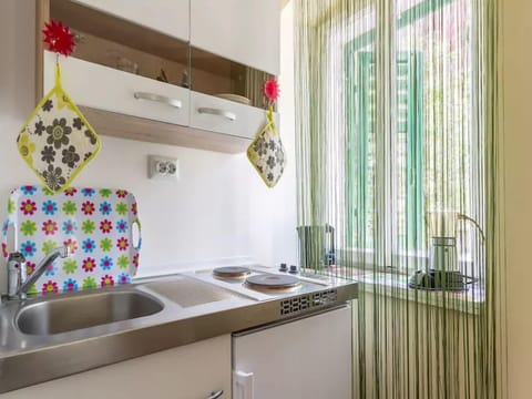 Apartment (A1) | Private kitchen | Fridge, stovetop, coffee/tea maker, electric kettle
