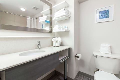 Combined shower/tub, free toiletries, hair dryer, towels