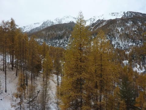 Property view