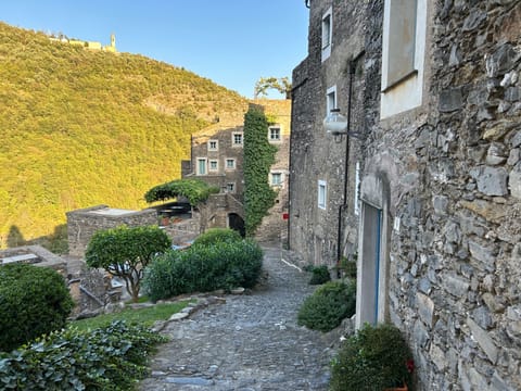 House | Property grounds