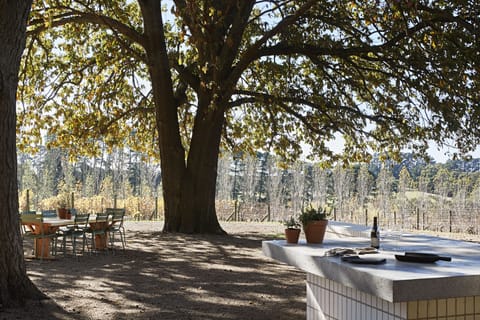BBQ/picnic area