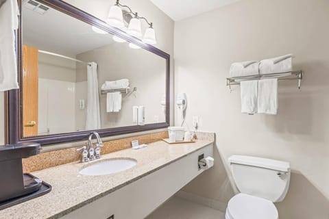 Combined shower/tub, free toiletries, hair dryer, towels