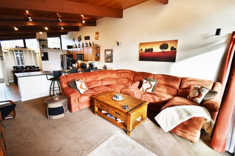 Living Room has Queen Sofabed - Living Room has Queen Sofabed